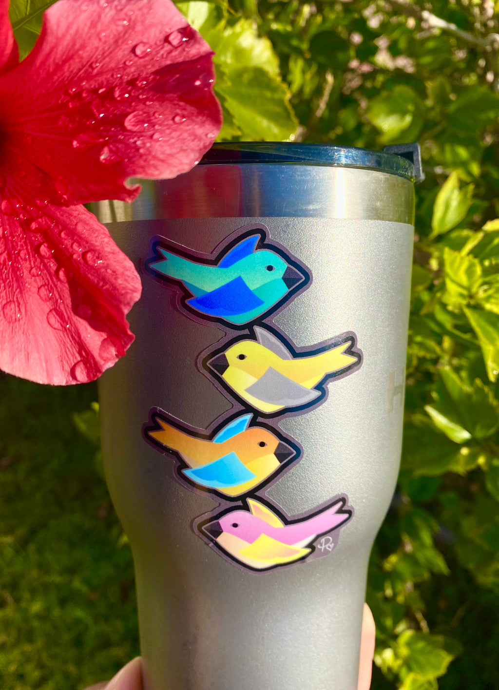 Birds of Life